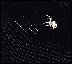 �����ƹ�����Ƶ���й�ǧ�ڲ�Ʊ�����ĳ�������ḣ�� ����ȥ����...